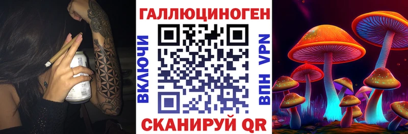 Купить где  Нерюнгри  Псилоцибиновые грибы мицелий 