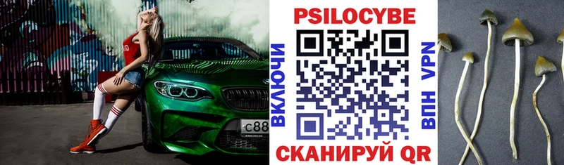 Галлюциногенные грибы прущие грибы Нерюнгри